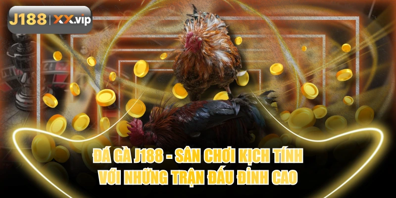 Đá Gà J188 - Sân Chơi Kịch Tính Với Những Trận Đấu Đỉnh Cao