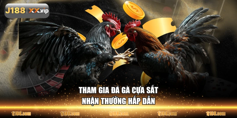Tham gia đá gà cựa sắt nhận thưởng hấp dẫn